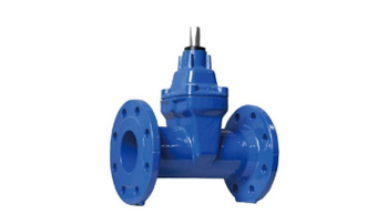 F5 Gate Valve